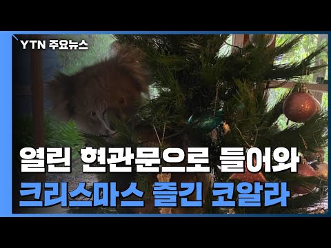 아이콘
