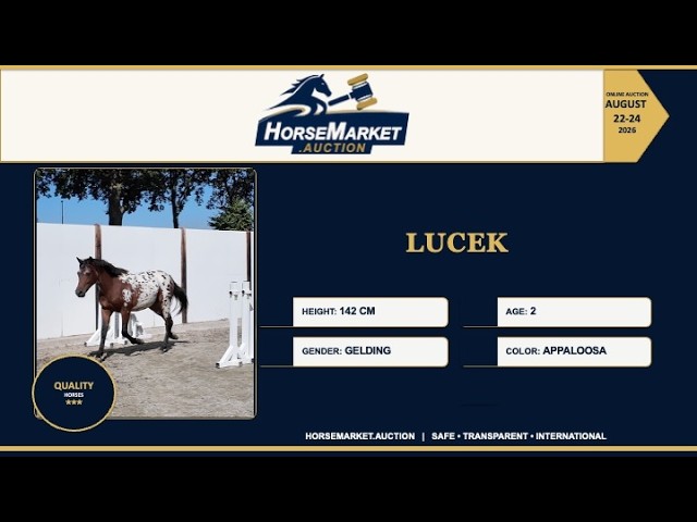 Lucek