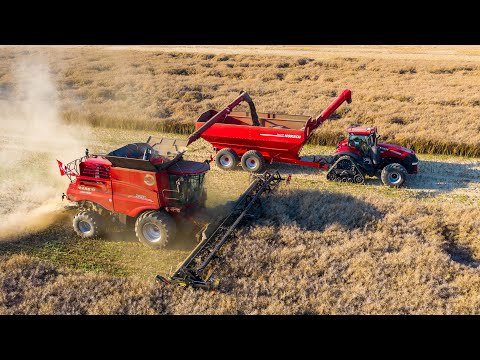 HORSCH AgroVation- CTF Harvest 2020- New Claas Lexion 8900, Horsch Titan 44 UW, Case Magnum 380 CVX