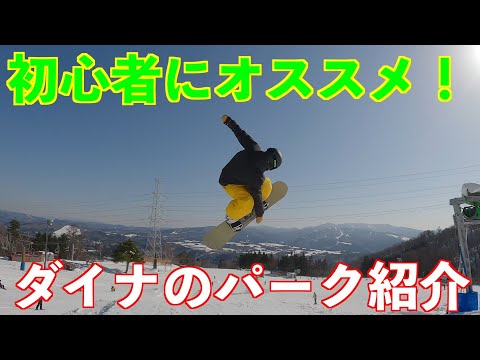 【初心者にオススメ】ダイナランドのステップアップパーク紹介