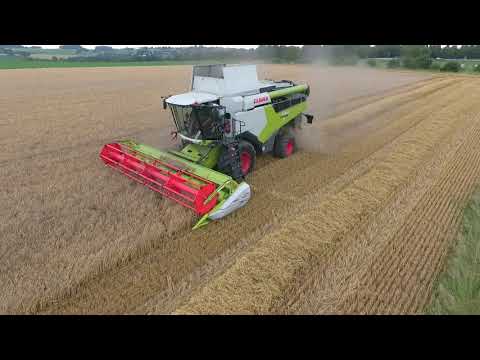 gerst dorsen met demo claas lexion 5300