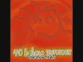 40 Below Summer: 2 Fisted