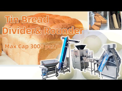 Perfect Tin Bread Starts Here! Dough Divider & Rounder Setup #toastbread