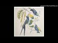 Susumu Yokota ‎- Hisen (2000) [BAY13V]