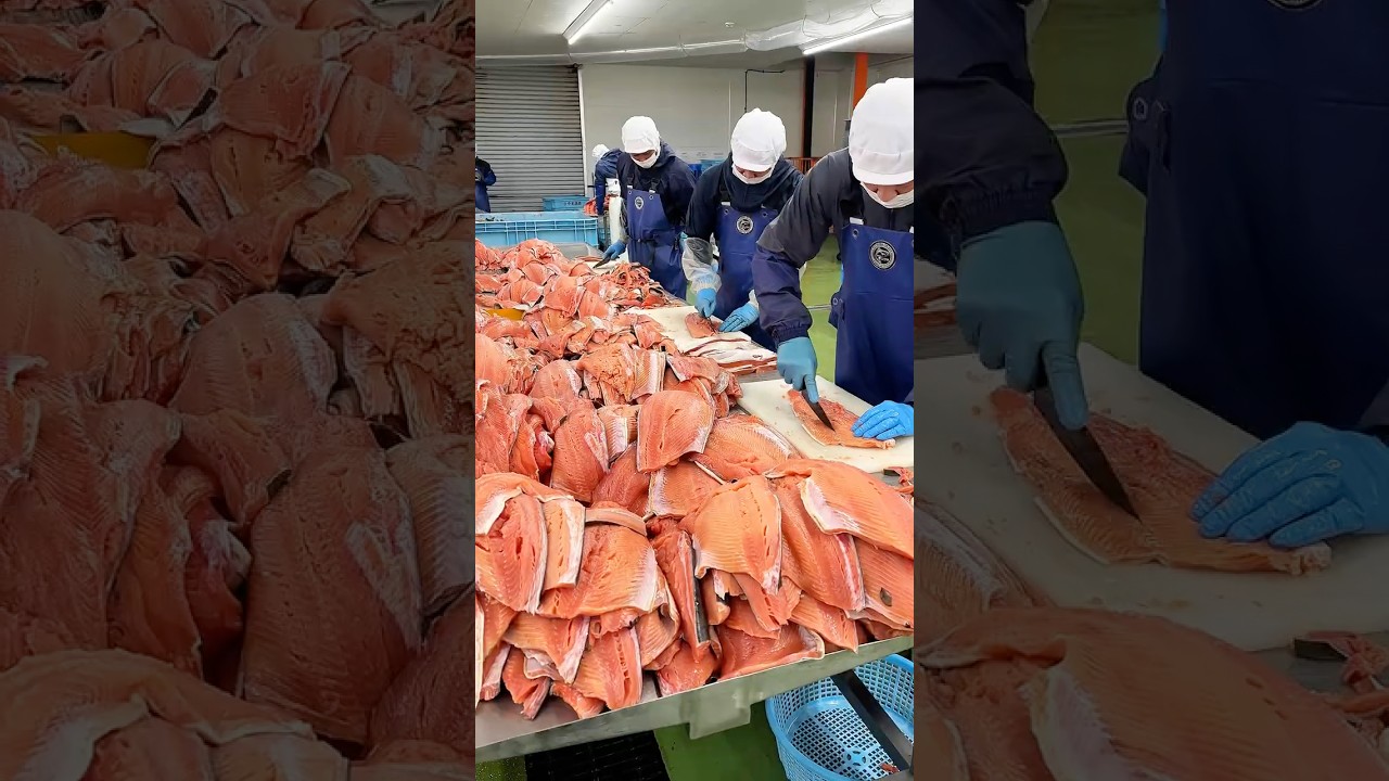 １日１トン超えの鮭をさばく圧巻工場…2日熟成×二段乾燥で旨味が限界突破！