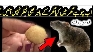 Quick rat killer | Rat killer | rat trap | rat poision | hommade rat killer | rat killer home made