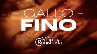 Gallo Fino Lyrics