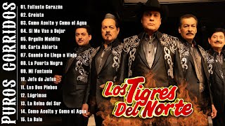 Download lagu PUROS CORRIDOS PESADOS DE TIGRES DEL NORTE ~ LOS TIGRES DEL NORTE CORRIDOS PROHIBIDOS ALBUM COMPLETO mp3