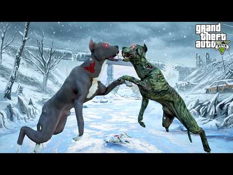 TERMİNATÖR KORKUNÇ PİTBULL DEHŞET'LE BUZLU BÖLGEDE DÖVÜŞÜYOR! - GTA 5