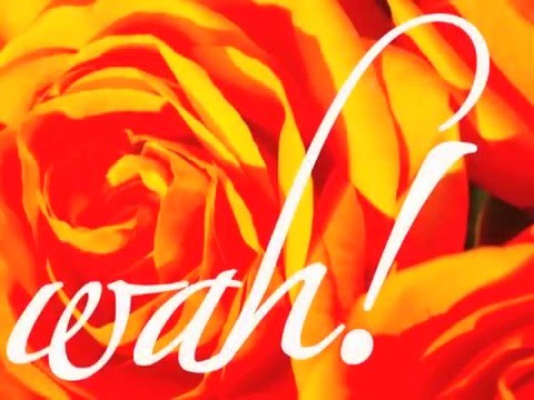 WAH! CD: Savasana*3 Natural Beauty