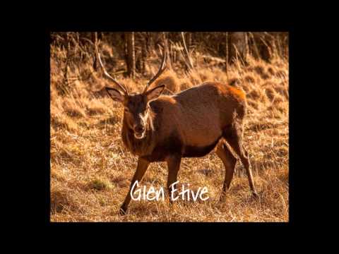 Every Moment by Touchwood with images by Les Hoggan Photography