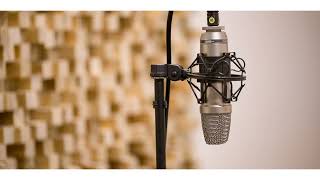 Test Icicles - Sharks (vocals backing track)