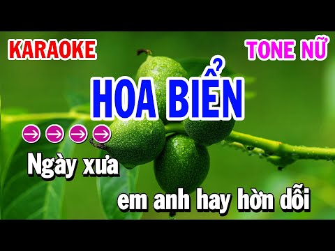 Karaoke Hoa Biển Tone Nữ ( Beat Phối Mới ) Huỳnh Lê