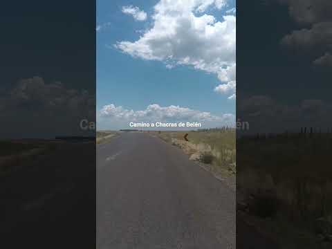 Camino a Chacras de Belén , departamento de Salto 🇺🇾🇺🇾🇺🇾 . Videitos cultura uruguaya .
