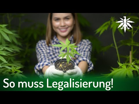 So muss Legalisierung! | DHV-News # 334
