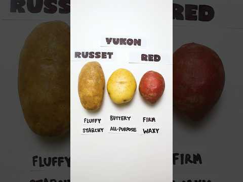 Potatoes Explained #cooking #shorts