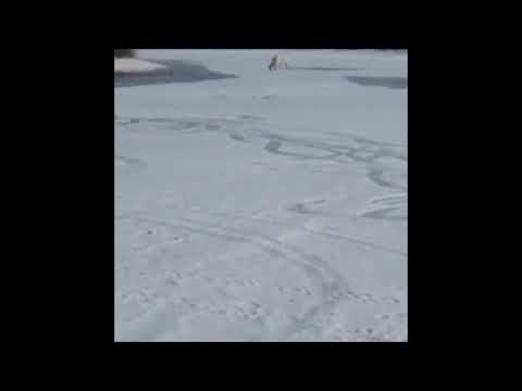 video-pomog-sosedke-donesti-sumku-paren-ebet-rukoy-v-pizdu-drugoy-rot