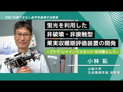 【山梨大学　研究紹介】蛍光を利用した非破壊・非接触型果実収穫期判定装置の開発