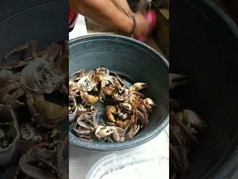 pegue e cozinhe caranguejo de lama/kagang. 🥰