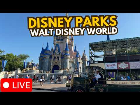 Live webcam of Disney Parks with Love