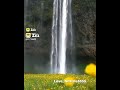 Nature Naturelovers