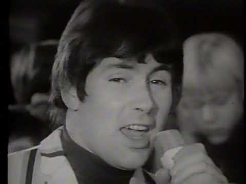 Troggs - Wild Thing 1966