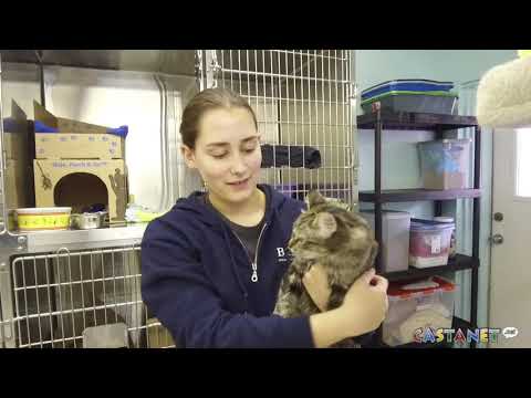 Meet Sybil and Sugar