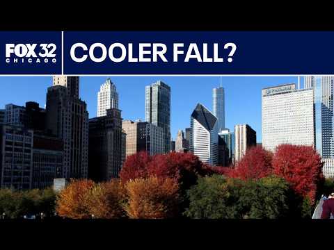 Chicago Weather Almanac