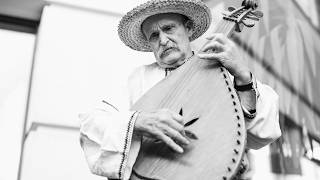 Koncertas. Muzikavimo kobza ir ratukine lyra tradicija. Ukraina