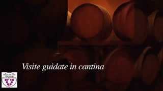 preview picture of video 'Il Montù e la Strada del vino e dei sapori dell'Oltrepò Pavese'