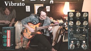 Chase Bliss Audio Warped Vinyl HiFi - What To Know & Where Chase Bliss Audio Warped Vinyl HiFi - What To Know & Where