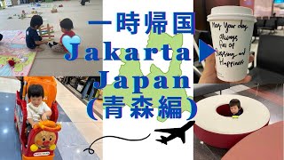 2歳になる息子とジャカルタから日本へ一時帰国(青森編)
