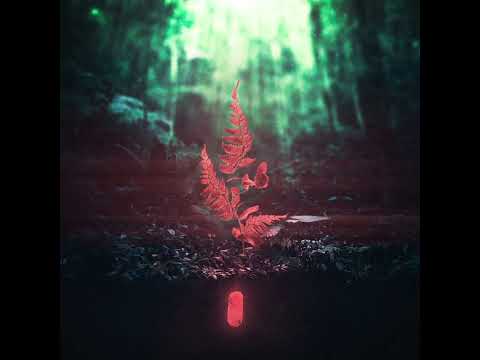 Reddym - Halb 8 (Visualizer)