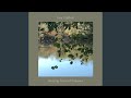 Drift Topography 6