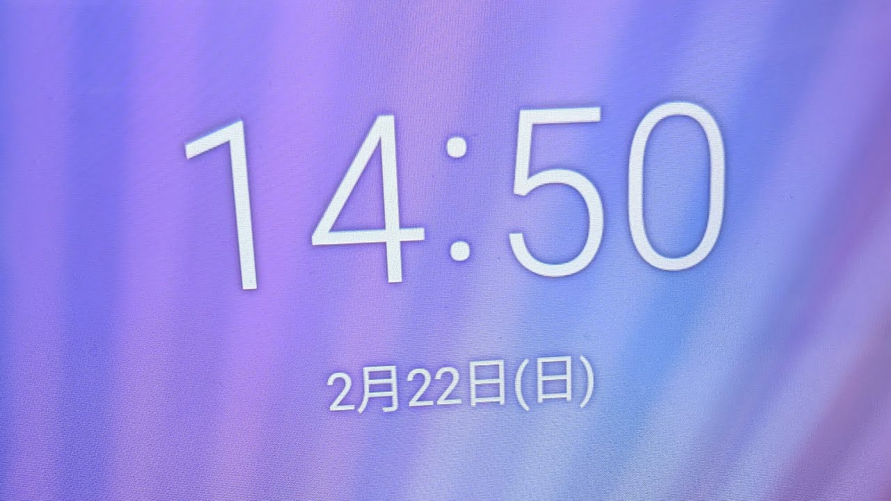 豚丸家族の井戸端会議