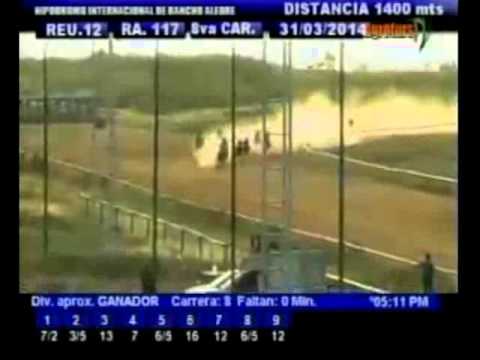 Resumen Lunes, 31 de Marzo de 2014 - Rancho Alegre