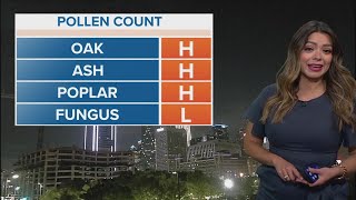 DFW weather: Monday's allergy outlook and pollen count