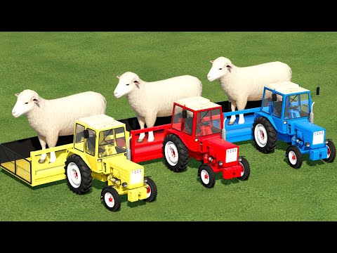 MINI TRACTORS OF COLORS ! BIG SHEEPS TRANSPORTING with MINI TRACTORS ! TRUCKS ! Farming Simulator 22