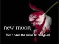 my New Moon Soundtrack #7-Do What You Have ...