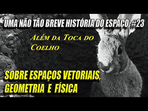 Sobre Espaços Vetoriais, Geometria e Física | Uma Não Tão Breve História do Espaço