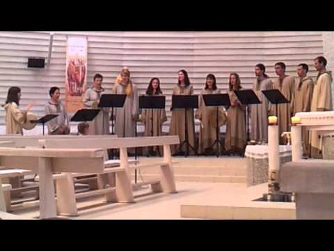 Zbor Arcus - Pastime with good company