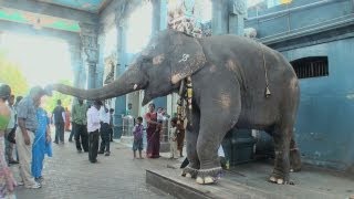 Manakula Vinayagar Temple, Pondicherry