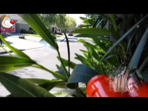 Outdoor Laser Tag - Soundtrack by Tim White - Take Me Over (Feat. Erica Gibson) - ODNT Bonus Episode