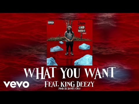 Young Mezzy - What You Want (Official Visualizer) ft. King Deezy