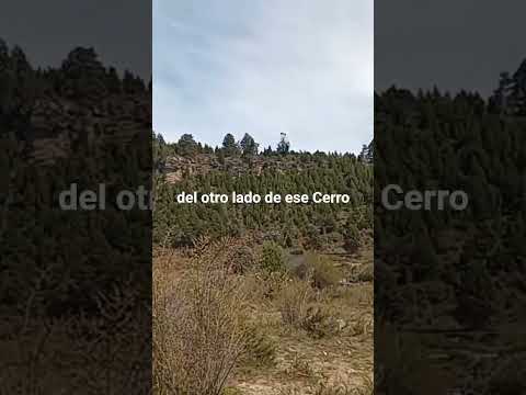 Chacra de 6.250 m² en El Blanco,  Cholila,  Patagonia