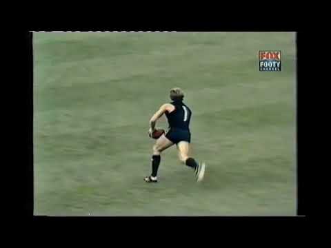 Highlights of the 1981 vfl season