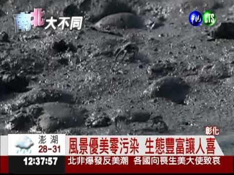 美不勝收! 彰化濕地列國家級濕地