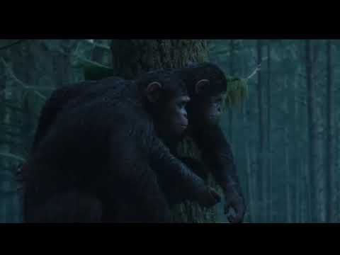 RUMBLE IN THE JUNGLE 2.0 on 9/11