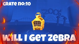 opening 10 gold crates in zooba~ will I get Paolo? 1.20 percent chance