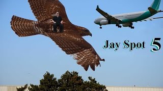 Top 5: Aircraft Engine Types